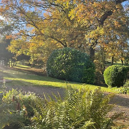 Fox Hill Bed & Breakfast Brompton  Bagian luar foto